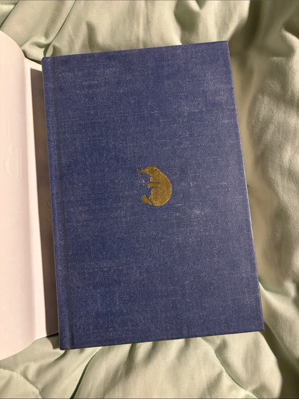 Scholastic elegant blue